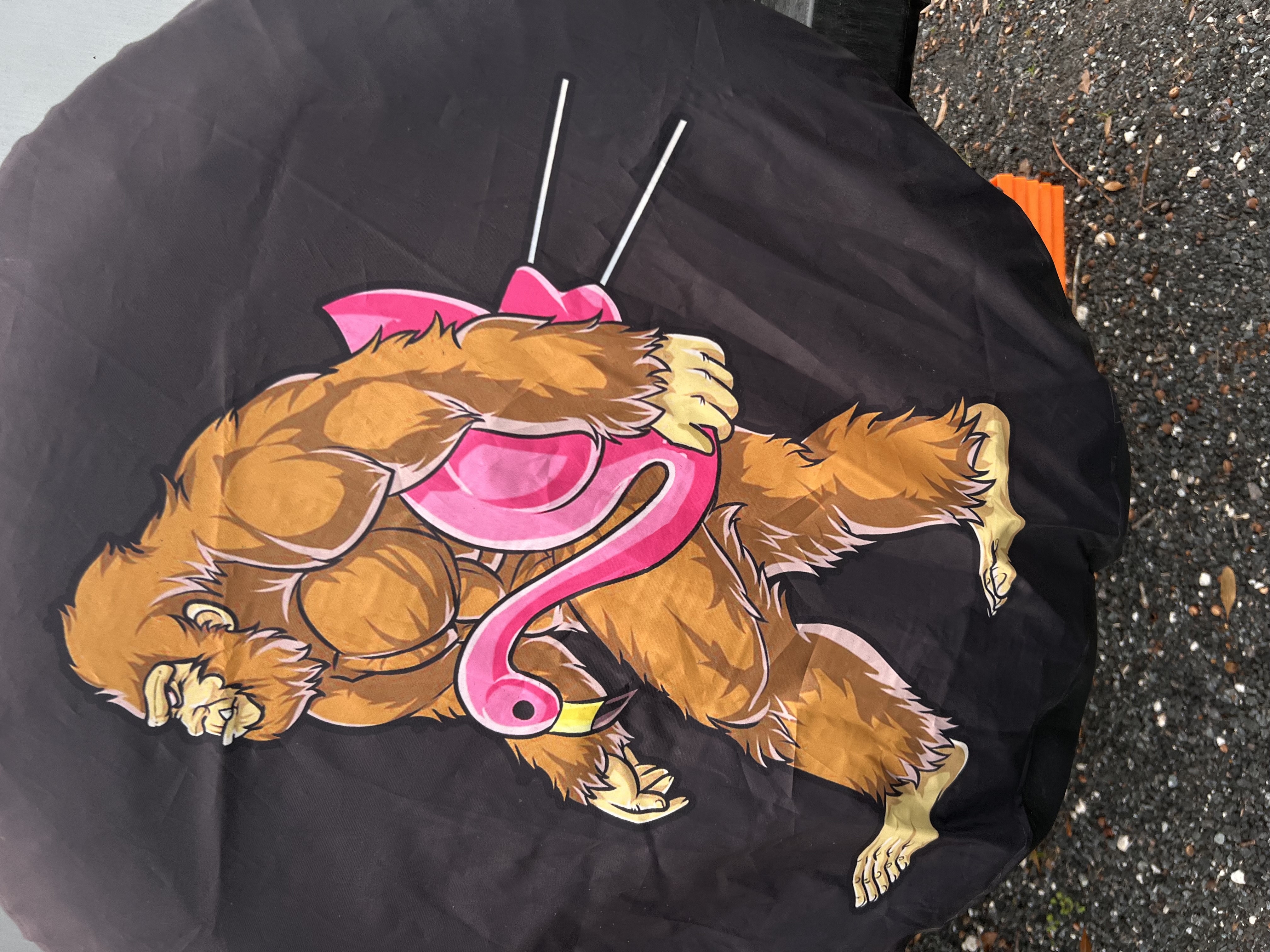 ./2022/13 - St Augustine/IMG_4810.JPG